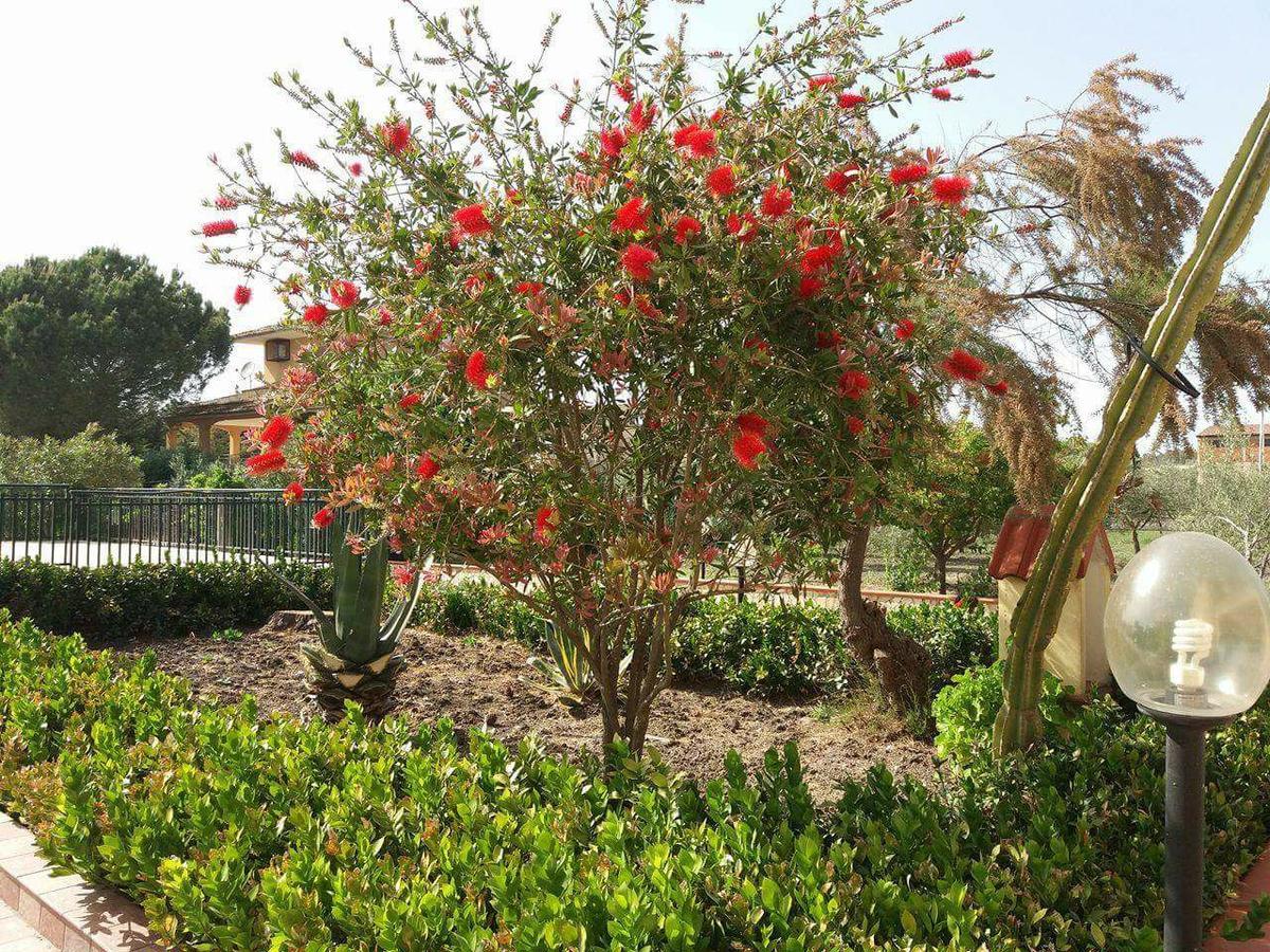 Villa Milici Campobello di Licata Εξωτερικό φωτογραφία